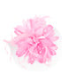 Dasha Accessories  in Pink #2365 filename 2365_8.jpg