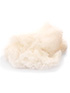 Pointe Snaps Pointe Shoes  #WGBBPP filename wgbbpp_3.jpg